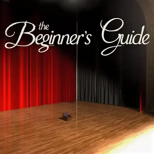 The Beginners Guide